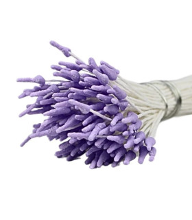 STAMEN SPEARHEAD MATT LILAC