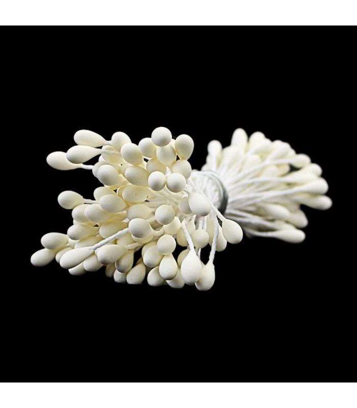 STAMEN DOUBLE LARGE