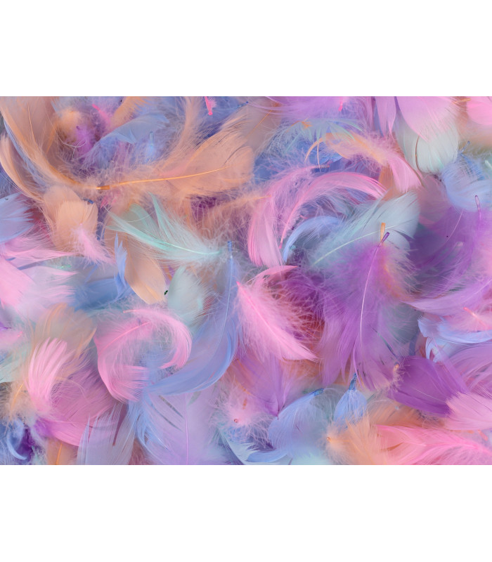 BOLSA DE PLUMAS PASTEL