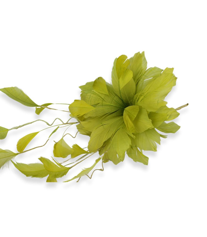 FLOR DE PLUMAS DE PATO