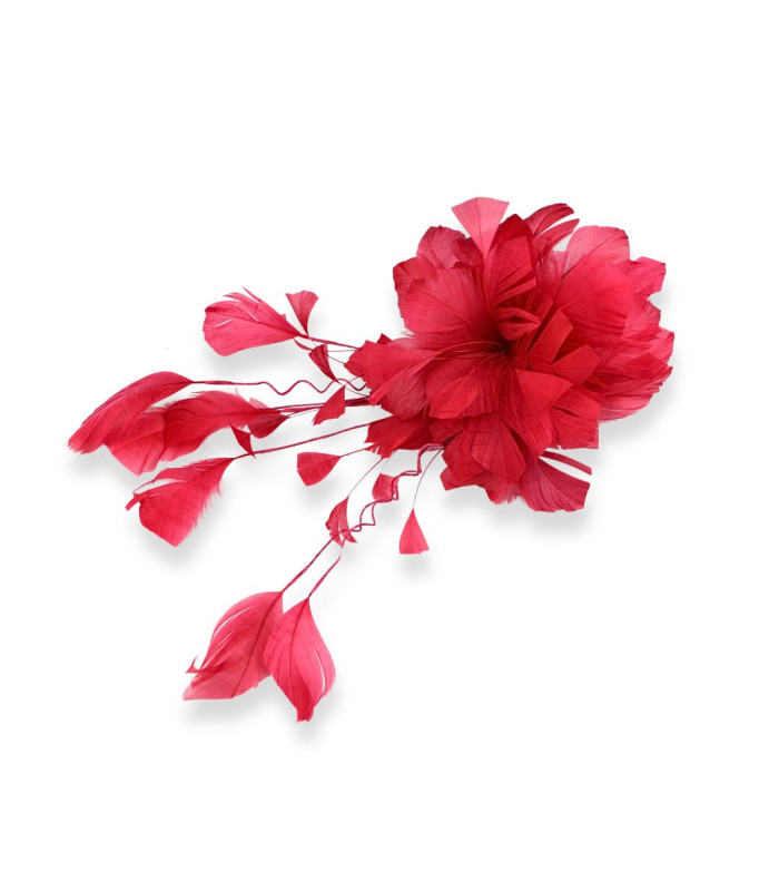 FLOR DE PENAS DE PATO