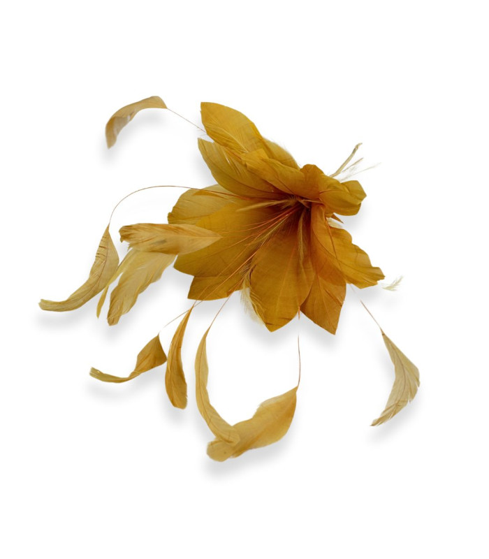 FEDERBLUME
