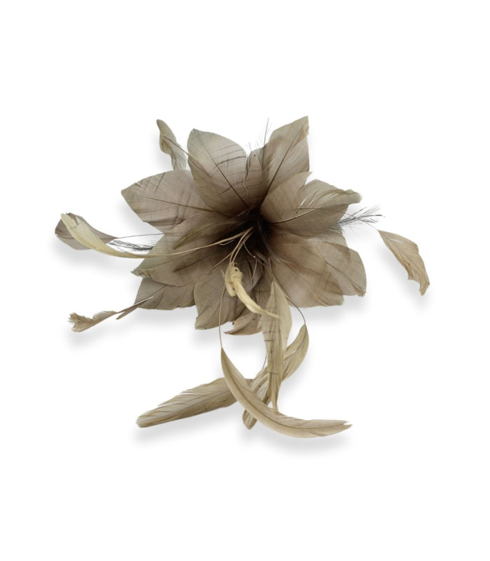 FEDERBLUME