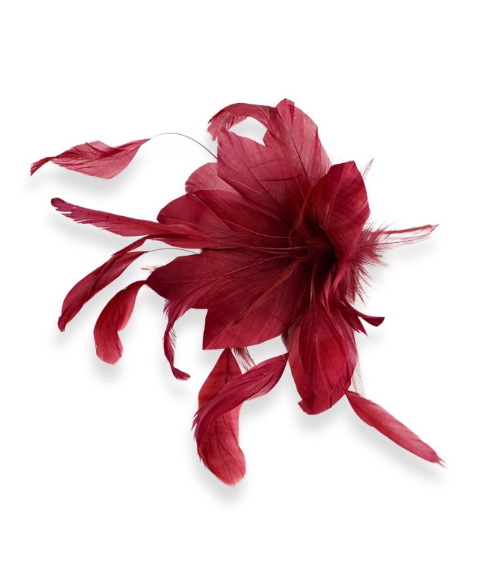 FEDERBLUME