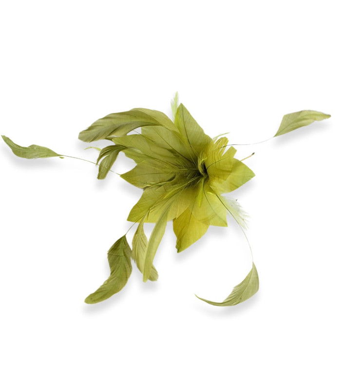 FEDERBLUME