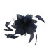 FEDERBLUME