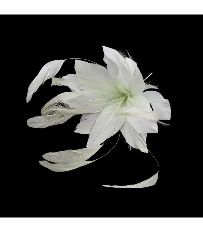 FEDERBLUME