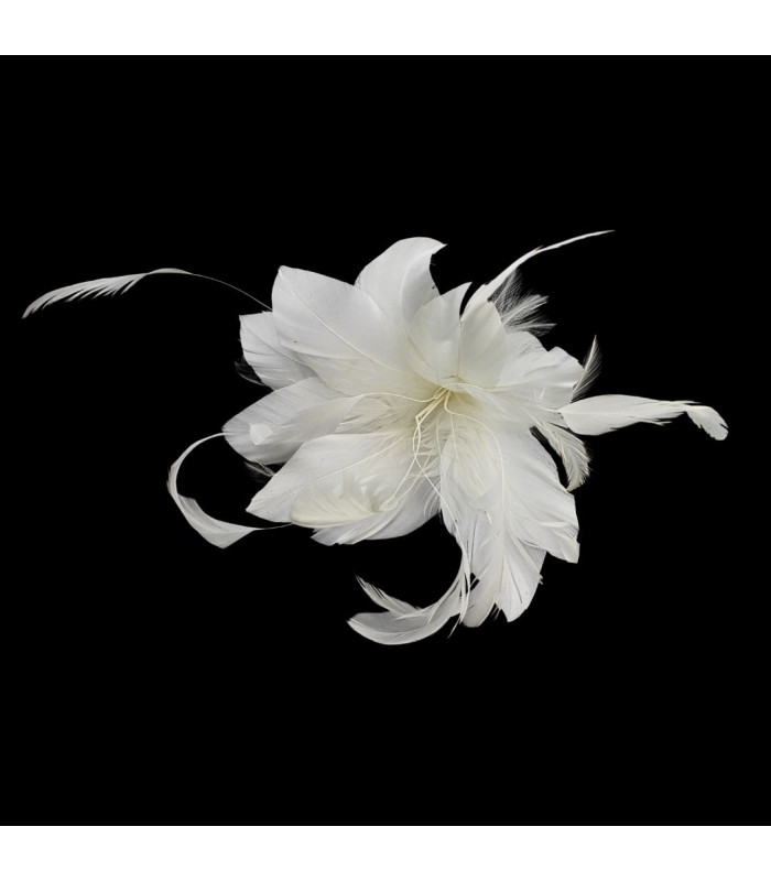 FEDERBLUME