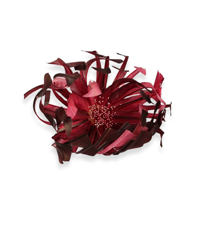 FLOR DE PENAS DE GANSO - PISTILOS