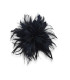 HAHNFEDERBLUME