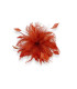 HAHNFEDERBLUME