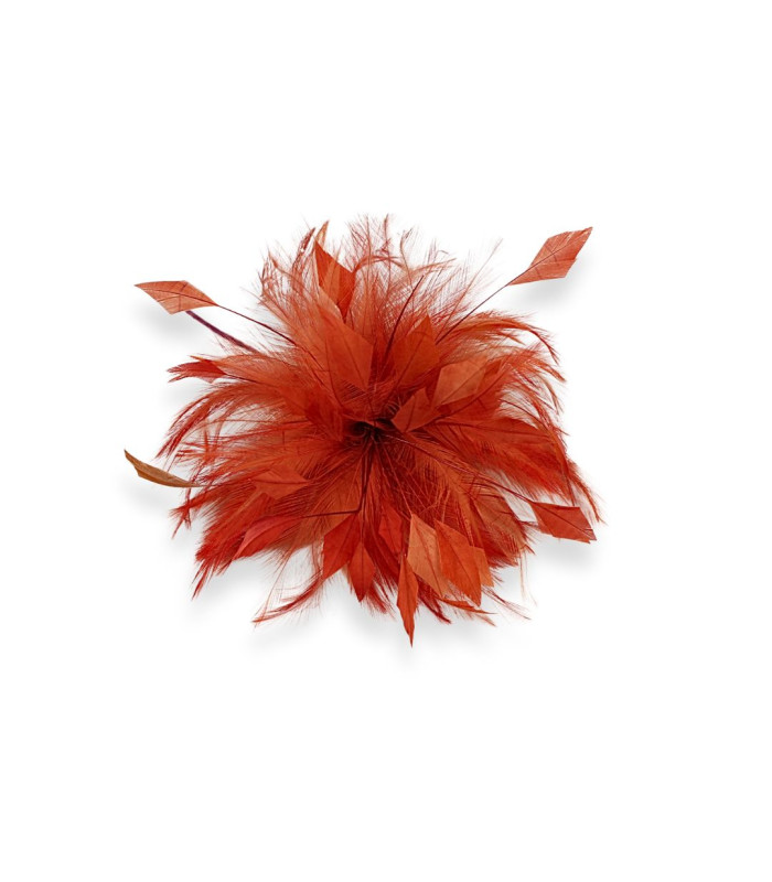 FLOR DE PLUMAS DE GALLO