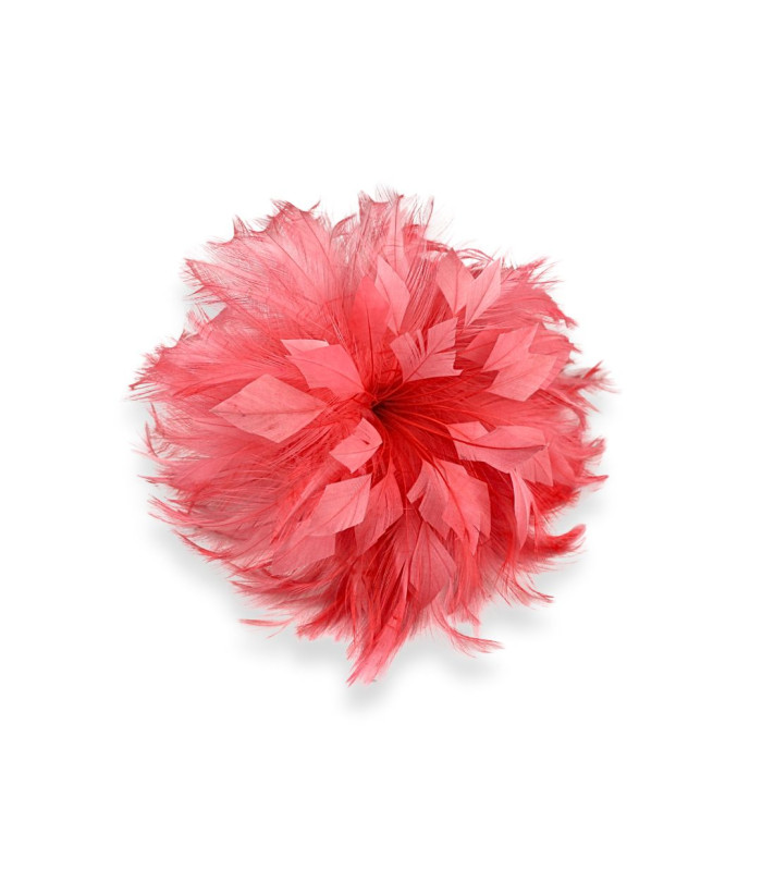HAHNFEDERBLUME