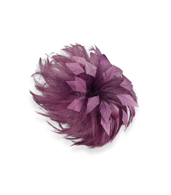 HAHNFEDERBLUME