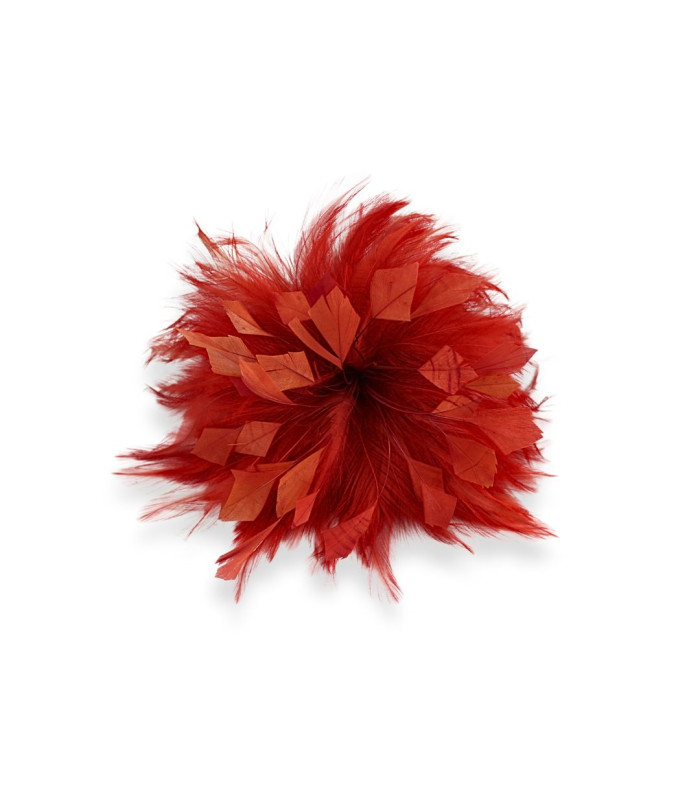 FLOR DE PLUMAS DE GALLO