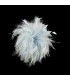 HAHNFEDERBLUME