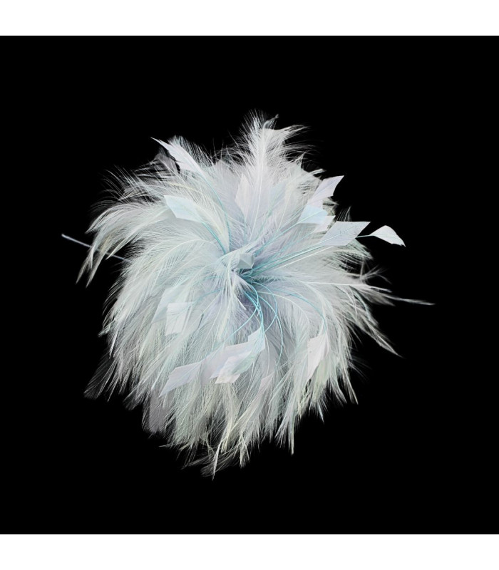 FLOR DE PLUMAS DE GALLO