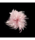HAHNFEDERBLUME