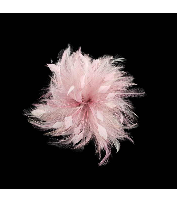 HAHNFEDERBLUME