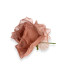 ROSA DE ORGANZA