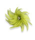 ORGANDZA FLOWER Ø 15CM
