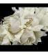 RAMILLETE DE FLORES DE TELA - PISTILOS