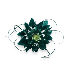 FLOR DE PLUMAS DE OCA