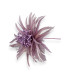 GOOSE FEATHER FLOWER