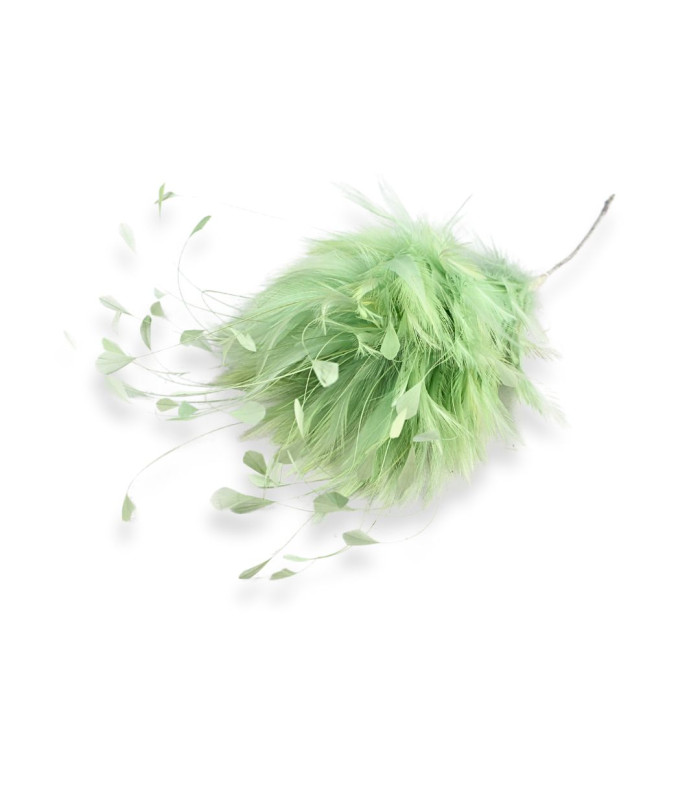 ROOSTER FEATHER ARRANGEMENT