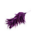 MONTAJE DE PLUMAS - CUELLO DE GALLO