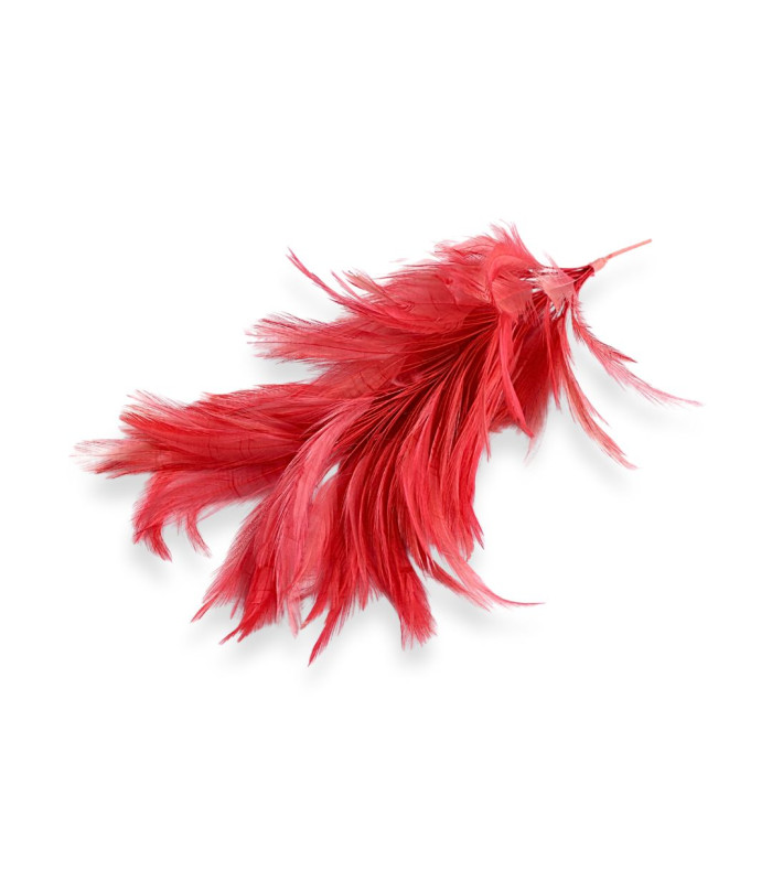 MONTAJE DE PLUMAS - CUELLO DE GALLO