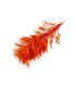 FEATHER MOUNT - ROOSTER NECK
