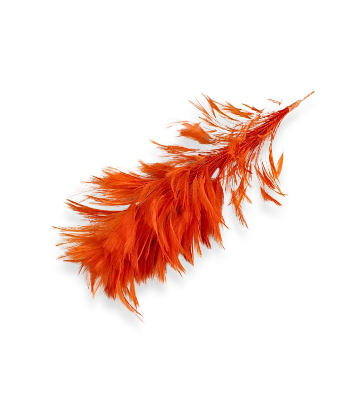 MONTAJE DE PLUMAS - CUELLO DE GALLO