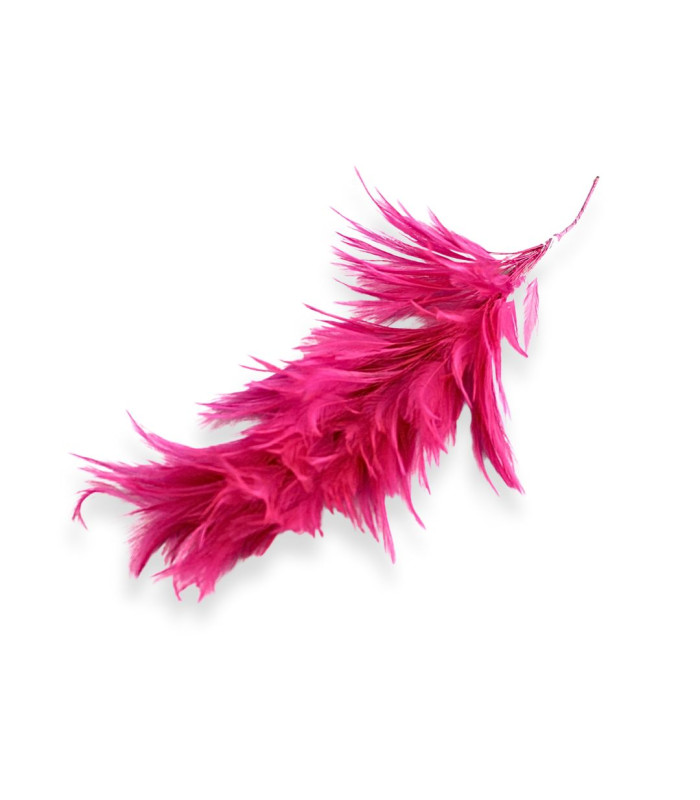 MONTAJE DE PLUMAS - CUELLO DE GALLO