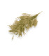 MONTAJE DE PLUMAS - CUELLO DE GALLO