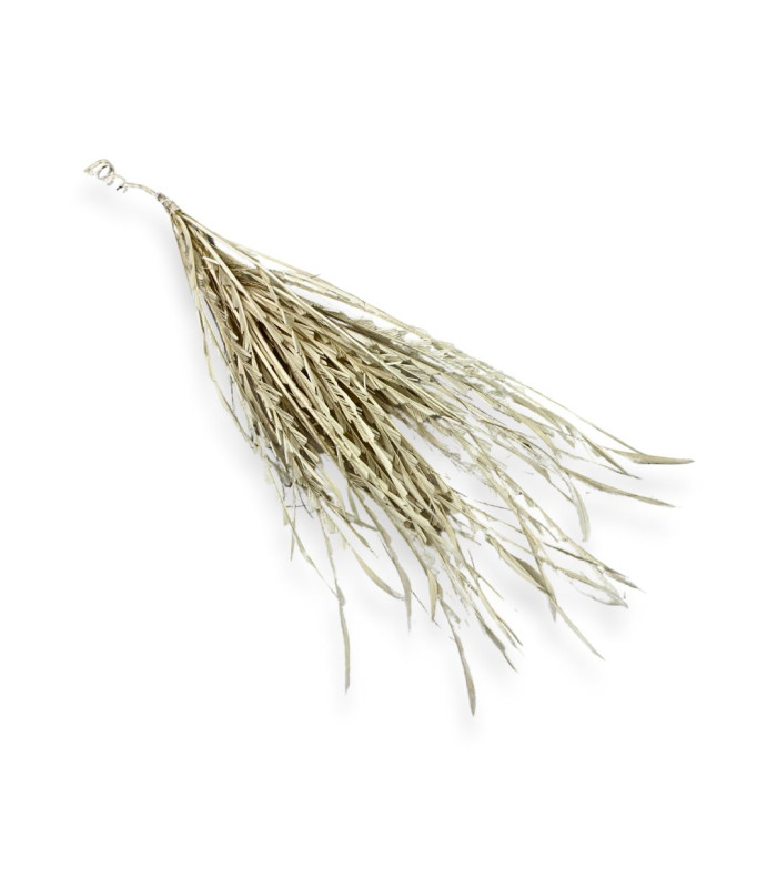 FEATHER MOUNTING 36CM