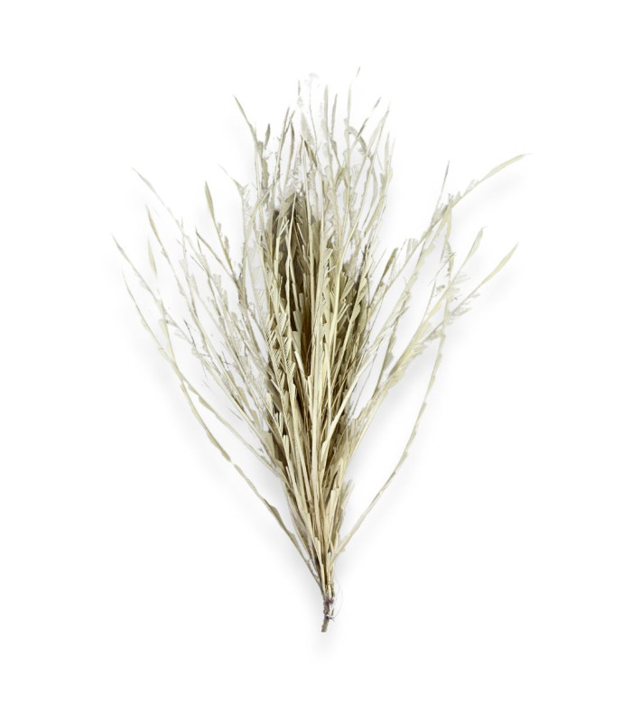 FEATHER MOUNTING 36CM