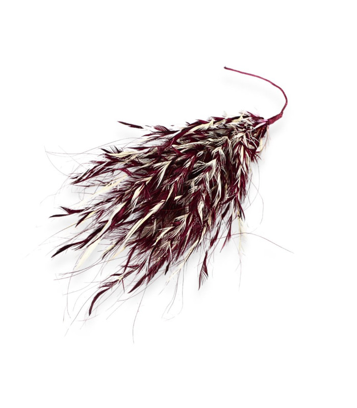 FEATHER MOUNTING OCA BIOT - BURNT PEACOCK