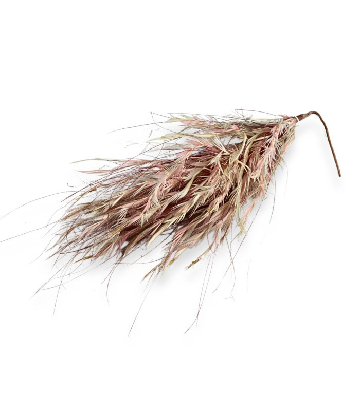 FEATHER MOUNTING OCA BIOT - BURNT PEACOCK