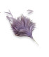 ROOSTER FEATHERS ARRANGEMENT
