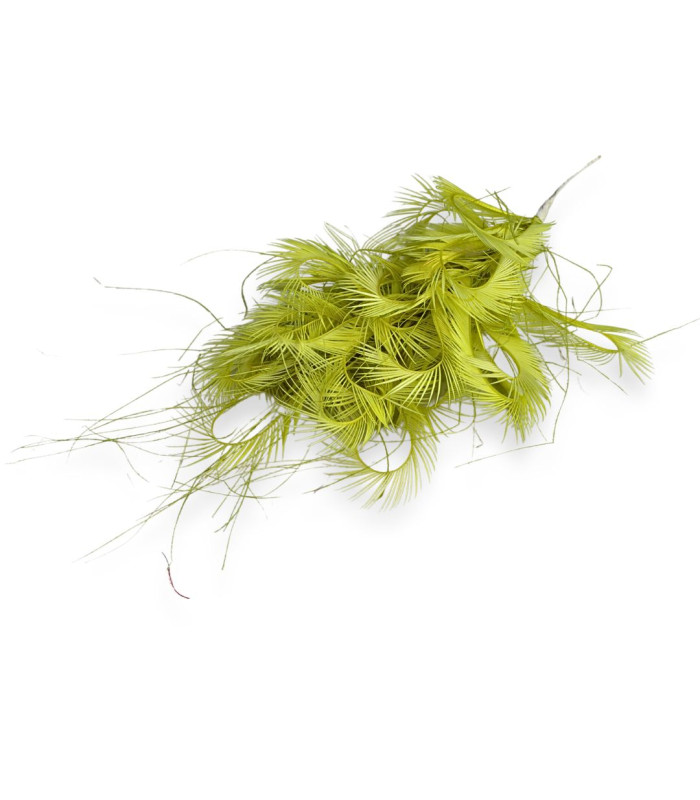 BIOT GOOSE FEATHERS ARRANGEMENT