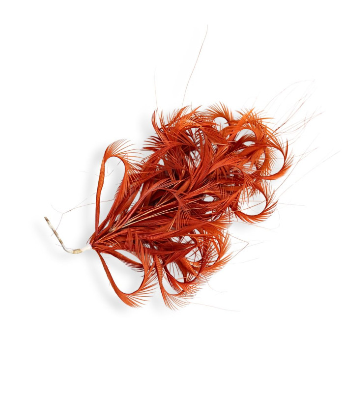 BIOT GOOSE FEATHERS ARRANGEMENT