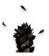 GOOSE FEATHER AND ROOSTER ANTENNA ARRANGEMENT