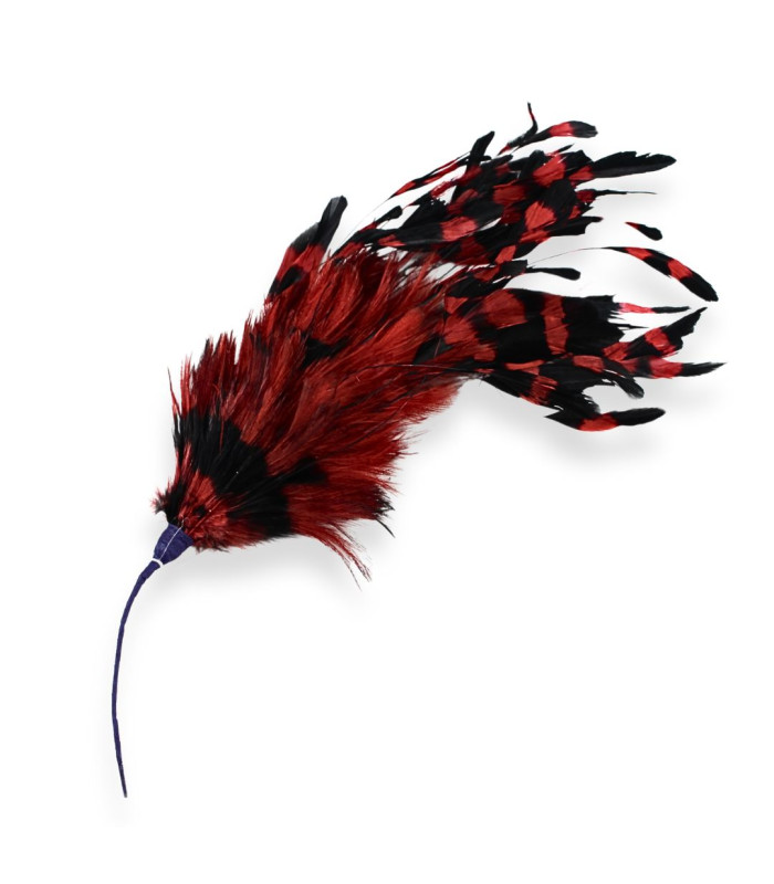 MONTAJE DE PLUMAS EXCLUSIVO