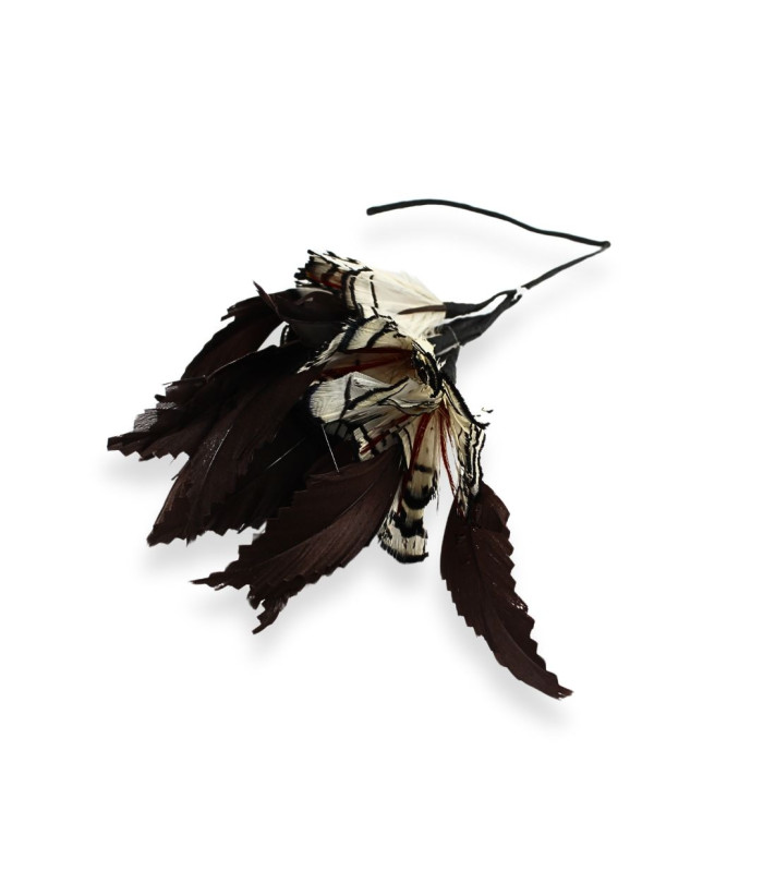 MONTAJE DE PLUMAS - FAISÁN DORADO Y OCA
