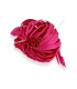 GOOSE FEATHER FLOWER WITH PISTILS