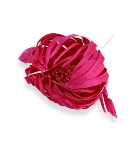 GÄNSEFEDERBLUME MIT PISTILLEN