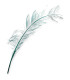 Burnt Ostrich Feathers - 58cm