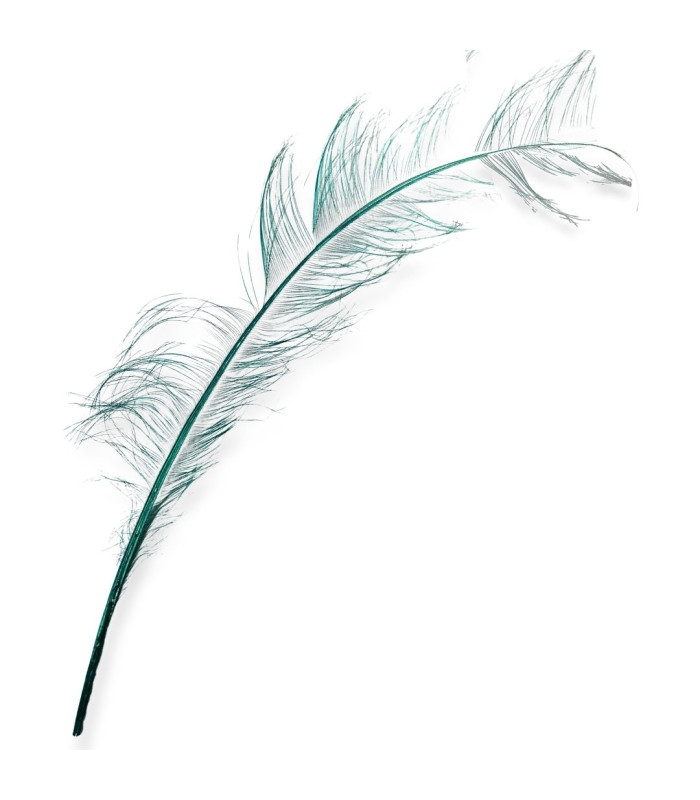 Burnt Ostrich Feathers - 58cm