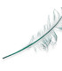 Burnt Ostrich Feathers - 58cm